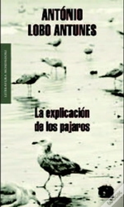 Capa do artigo Acerca De Los Pájaros