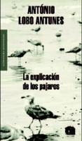 Acerca De Los Pájaros