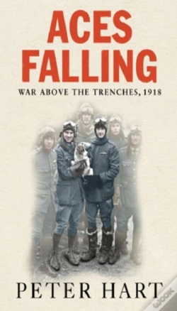Capa do artigo Aces Falling