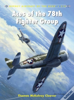 Capa do artigo Aces Of The 78th Fighter Group