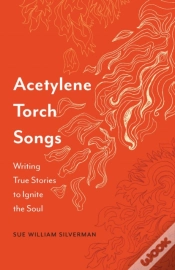 Capa do artigo Acetylene Torch Songs