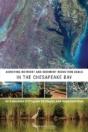 Achieving Nutrient And Sediment Reduction Goals In The Chesapeake Bay - Preview