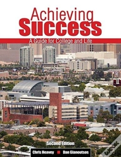 Capa do artigo Achieving Success