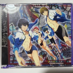 Capa do artigo Aching Horns / OLDCODEX [] - CD