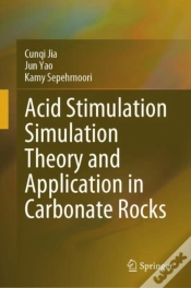 Capa do artigo Acid Stimulation Simulation Theory And Application In Carbonate Rocks