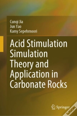 Capa do artigo Acid Stimulation Simulation Theory And Application In Carbonate Rocks