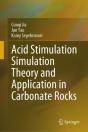 Acid Stimulation Simulation Theory And Application In Carbonate Rocks - Preview