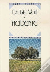Capa do artigo Acidente