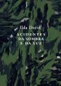 Acidentes da Sombra e da Luz - Preview