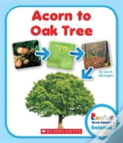 Capa do artigo Acorn To Oak Tree