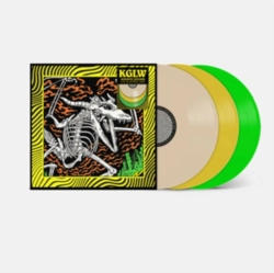 Capa do artigo Acoustic Gizzard - Vinil