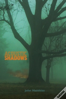 Capa do artigo Acoustic Shadows