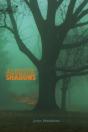 Acoustic Shadows - Preview