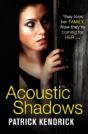 Acoustic Shadows - Preview