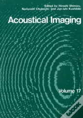 Acoustical Imaging