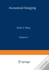 Acoustical Imaging