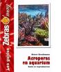 Acroporas En Aquarium - Preview