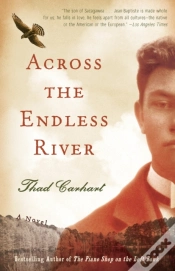 Capa do artigo Across The Endless River