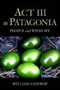 Act Iii In Patagonia - Preview