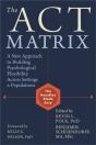 Act Matrix - Preview