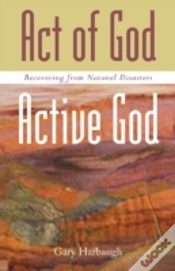 Capa do artigo Act Of God/Active God