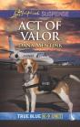 Act Of Valor - Preview