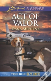 Capa do artigo Act Of Valor