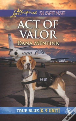 Capa do artigo Act Of Valor