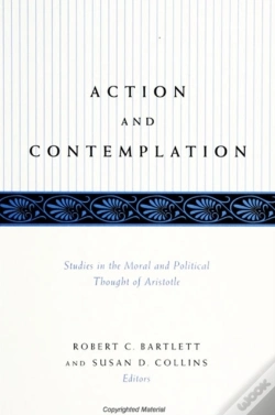 Capa do artigo Action And Contemplation