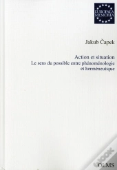 Action Et Situation ; Les Sens Du Possible Entre Phénoménologie Et Herméneutique