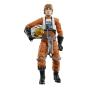 Action-Figure Star Wars: Black Series Luke Skywalker 15 cm - Preview