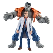 Capa do artigo Action-Figures Avengers Marvel Legends - Gray Hulk & Dr. Bruce Banner 15 cm