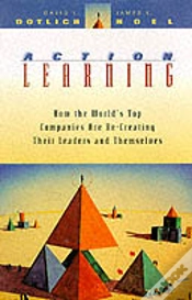 Capa do artigo Action Learning