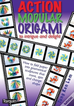 Capa do artigo Action Modular Origami