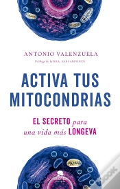 Capa do artigo Activa Tus Mitocondrias