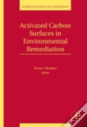 Activated Carbon Surfaces In Environmental Remediation