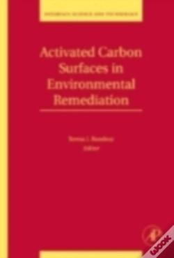 Capa do artigo Activated Carbon Surfaces In Environmental Remediation