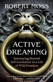 Capa do artigo Active Dreaming