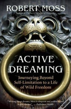 Capa do artigo Active Dreaming