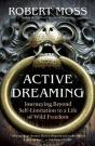 Active Dreaming - Preview