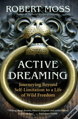 Capa do artigo Active Dreaming
