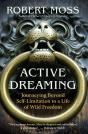Active Dreaming - Preview