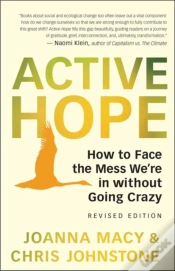 Capa do artigo Active Hope Revised