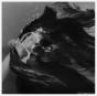 Active Imagination - Vinil - Preview