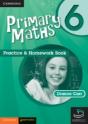 Active Maths Practice And Homework Book 6 - Preview