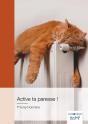 Active Ta Paresse ! - Preview