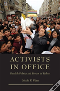 Capa do artigo Activists In Office