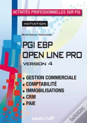 Activites Professionnelles Sur Pgi Initiation Eleve