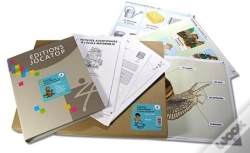 Capa do artigo Activités Scientifiques À La Maternelle
