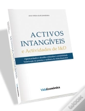 Capa do artigo Activos Intangíveis e Actividades de I&D